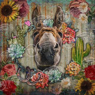 That's a Fact Jack! - Artwork