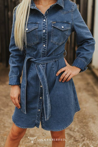 Button Down Long Sleeve Denim Dress