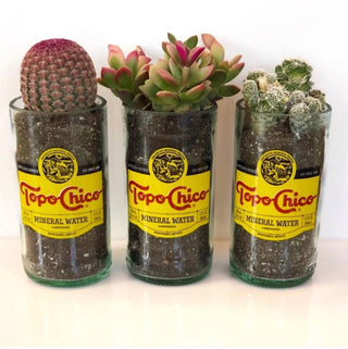 Topo Chico Planter