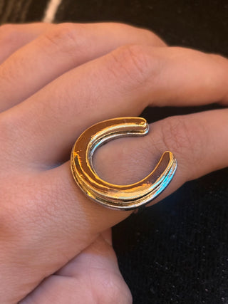 Two Toned Horseshoe Ring