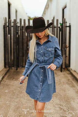Button Down Long Sleeve Denim Dress
