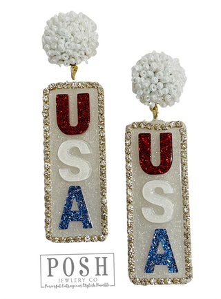 USA Patriotic Earrings