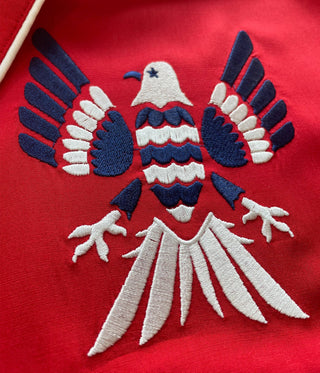 Freedom Flies