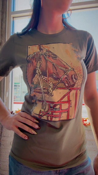 Horse Resist