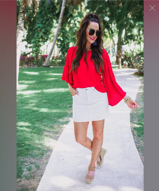 Blaine Ruffle Sleeve Top
