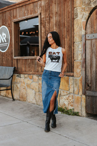 Denim Dreams Skirt