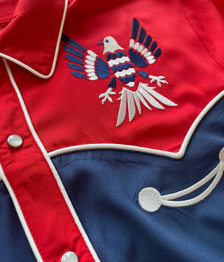 Freedom Flies