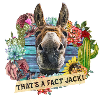 That's a Fact Jack - Sticker