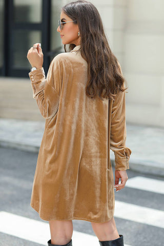 Foxy Velvet Mini Dress